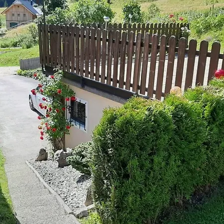 Haus Fritz - Erholung In Den Bergen Apartment Donnersbachwald Exterior photo
