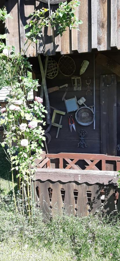 Apartment Haus Fritz - Erholung In Den Bergen Donnersbachwald